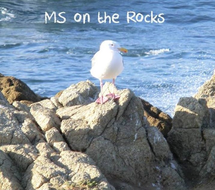 MS on the Rocks